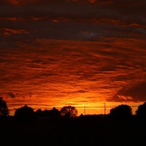 Meet your Posher, Ashton